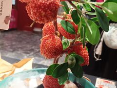 -长安大牌档之龙头酒肆(荣民龙首广场店)