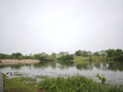 -盘龙城国家考古遗址公园