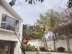 -柠檬花院烤肉·会议团建·聚会·求婚(三圣乡店)