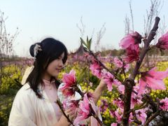 -南汇桃花村