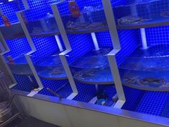 -七欣天香辣蟹火锅(淮安璟和名城店)