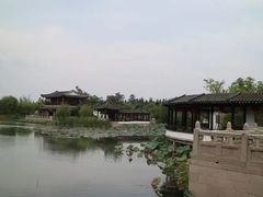 -南湖湿地公园