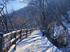 -少华山国家森林公园