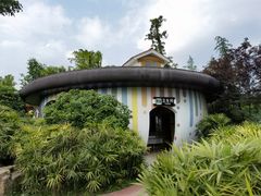 -铁山坪森林公园