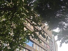 -贺庄·活鱼馆(珠吉路店)