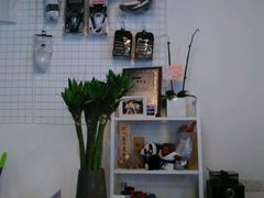 -IKMF马伽术KRAV MAGA以色列防身术