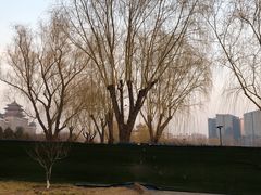 -莲花池公园