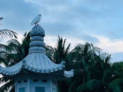 -三亚南山文化旅游区