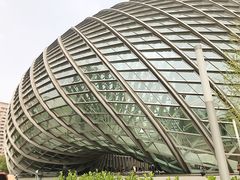 -凤凰中心