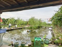 -同銮特种养殖场·龙虾垂钓