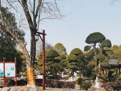 -武汉紫薇都市田园