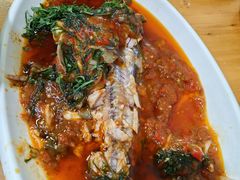 -老字号怡玺·藿香雅鱼(20年雅安店)