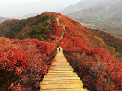 -水峪民俗村