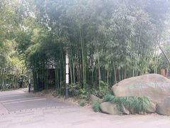 -苏州河梦清园环保主题公园