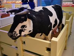 -红星前进面包牛奶公司(君太店)