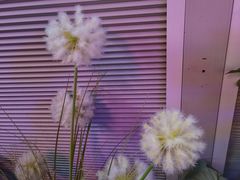 -粉墨特色菜·烧烤音乐酒馆