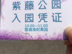 -嘉定紫藤园