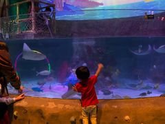 -沈阳海洋探索中心