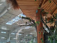 -南宫五洲植物乐园