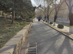 -元大都城垣遗址公园