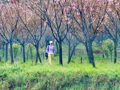 -梁子湖东篱老屋生态庄园