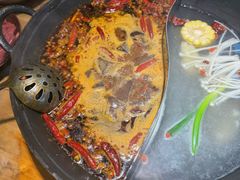 -阳阳老火锅(小南门店)