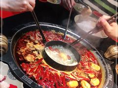 -渝大狮毛肚老火锅(普陀店)