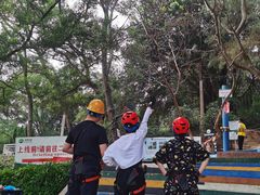 -芦仙山景区-飞越丛林探险乐园