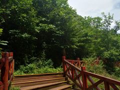 -黎坪国家森林公园