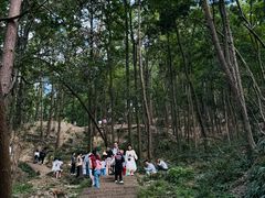 -黔灵山公园