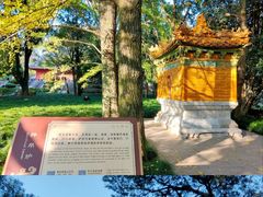 -灵谷景区