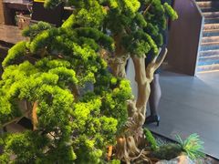 -百富源·海鲜辽菜(和平北大街店)