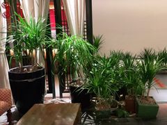 -瑶王府·广西菜(金阳路店)
