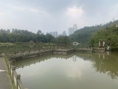 -张坝桂圆林公园