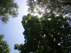 -洨河生态公园