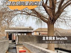 -自如ZSPACE四合院艺术餐厅