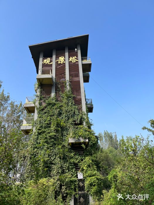 淇河国家湿地公园图片