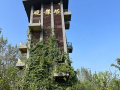 -淇河国家湿地公园