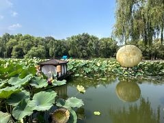 -北陵公园