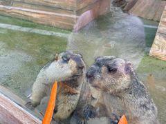 -雪浪山卡丁车俱乐部