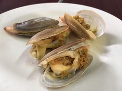 象拔蚌15一只-岛中岛·海鲜大排档·万宁老字号(东澳店)