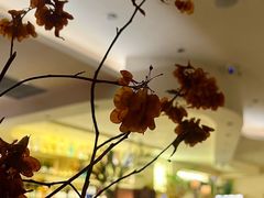 -HUATA 'Holiday Plan 花榻