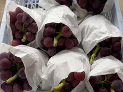 -马陆小张葡萄园农家乐