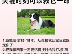 -翊宠yipet猫狗购宠庄园犬舍•猫舍