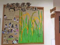 -杭州龙井幼儿园