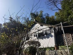 -杭州半山国家森林公园