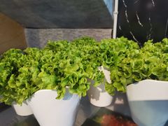 -齐齐哈尔兄弟烤肉(湖山美地店)