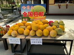 -哈密回王府景区