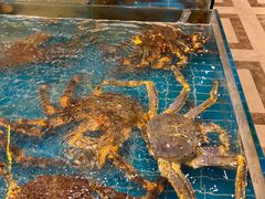 -新丁香海鲜酒店(银海商贸城店)