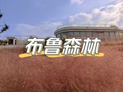 -青山湖科技城户外乐园
